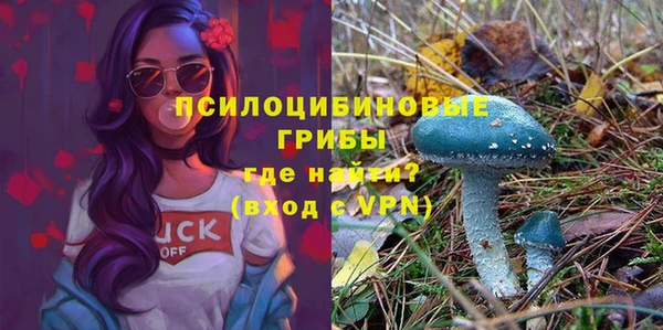 герыч Арсеньев