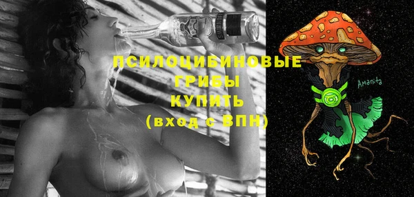 круглые Аркадак