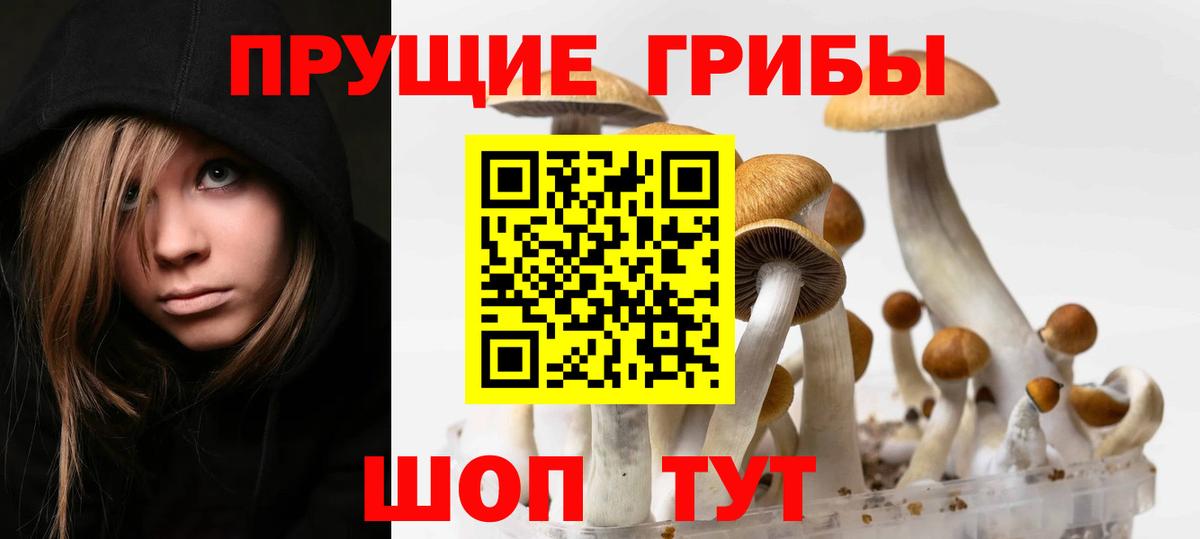 Галлюциногенные грибы Magic Shrooms  Вход с VPN  Борисоглебск  Псилоцибиновые грибы GOLDEN TEACHER 